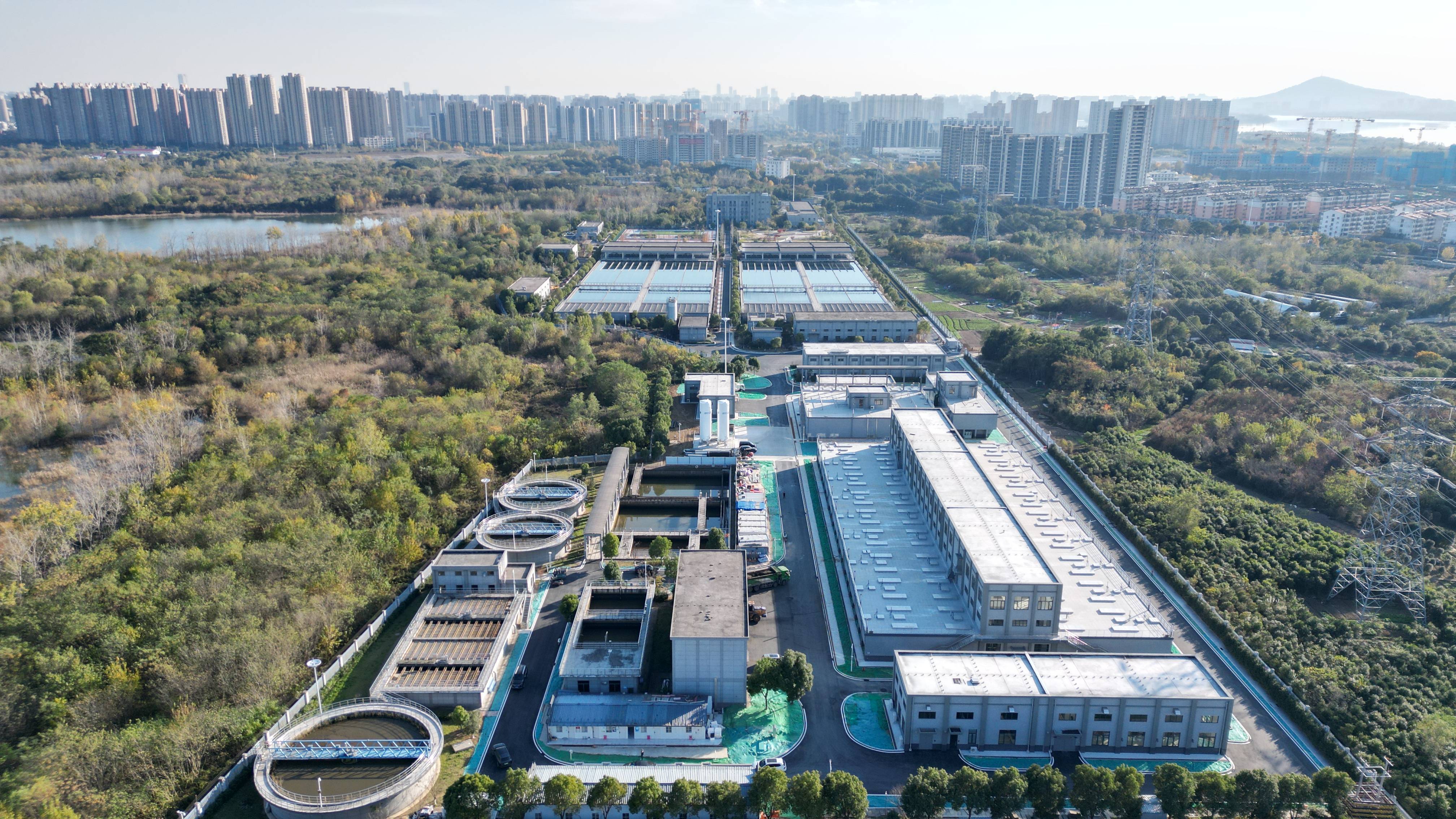 玉树市合肥专业企业价值增长(合肥市重点企业产业目录)