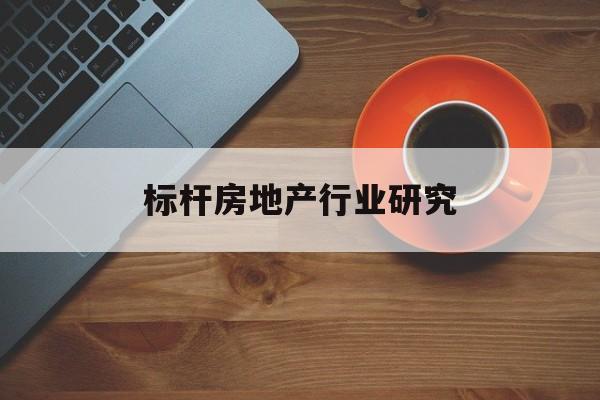 玉树市标杆房地产行业研究(房地产领域的标杆人物)
