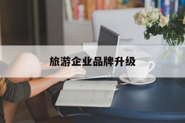 玉树市旅游企业品牌升级(旅游企业品牌升级措施)
