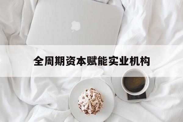 玉树市全周期资本赋能实业机构(全周期管理)